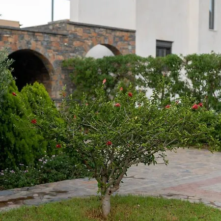Apollonia View